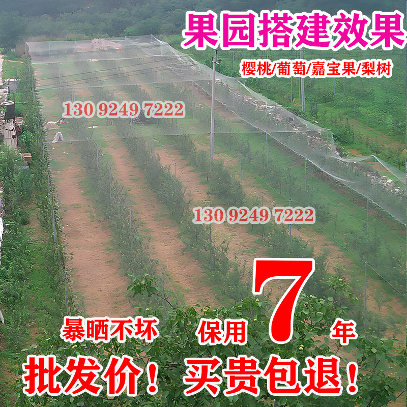 防鸟网果树果园大棚尼龙线防乌网阳台樱桃树葡萄窗户鱼塘用的天网