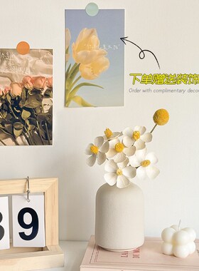 速发拍摄道具小摆件桌室卧面干花装饰房间改造民宿布置物件高级感