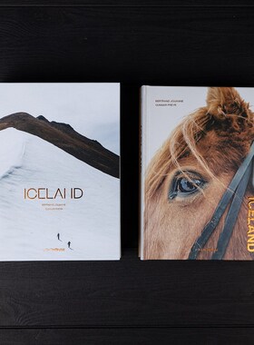 精选冰岛外文样板房装饰真书非仿真假书摆件拍摄影陈列背景杂志侘