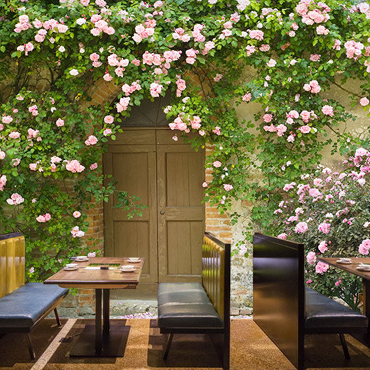 田园风景壁纸大自然森林民宿延伸空间餐厅客厅咖啡店拍照背景墙纸,淘宝优惠券,粉丝福利购,淘宝优惠卷