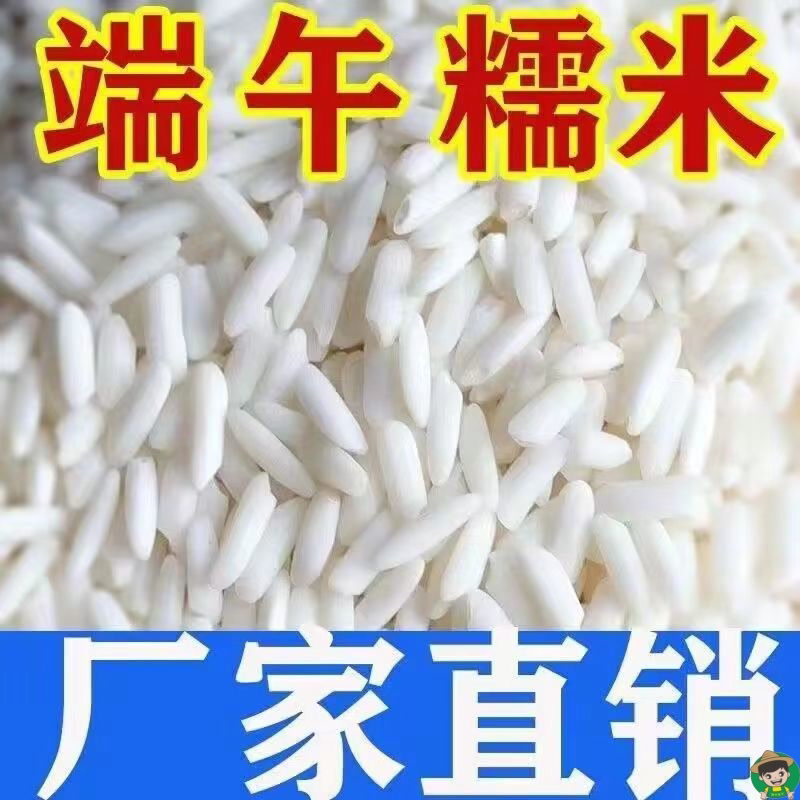 东北长粒糯米包邮长粒糯米糯米酒端午节粽子酿酒优质糯米农家自种