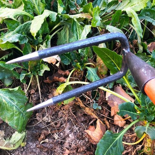 刨花生铁耙小铁扒子翻土耙子家用三齿耙农用碳钢泥土多功能抓地搂 - 图0