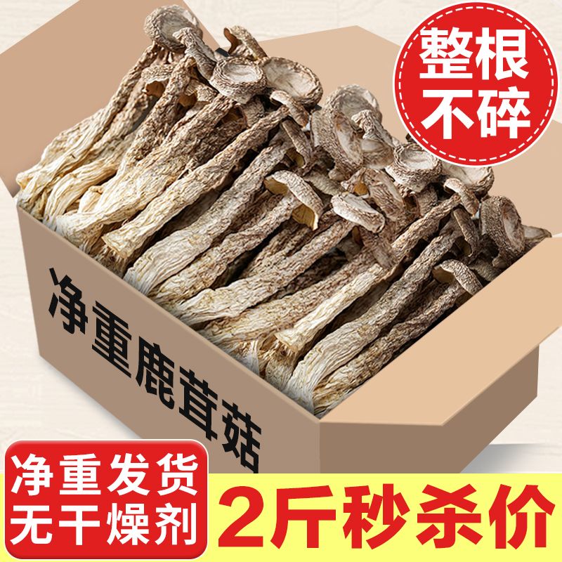 New arrivals of velvet antler mushrooms, dried velvet antler mushrooms, unsulfurized fresh velvet antler mushrooms, wholesale