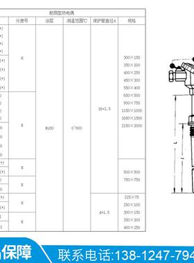 WRNN-631耐磨热电偶0-600℃WRNN2-631双支锥形热电偶 K型 0-800度