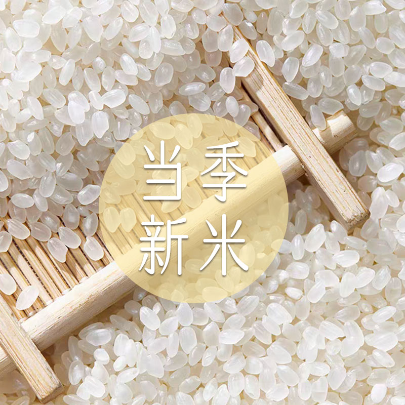 东北大米10斤当季新米美味年新日期盘锦蟹田米5kg长粒香米1斤特价