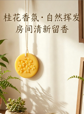 新款金桂香氛蜡片持久除味