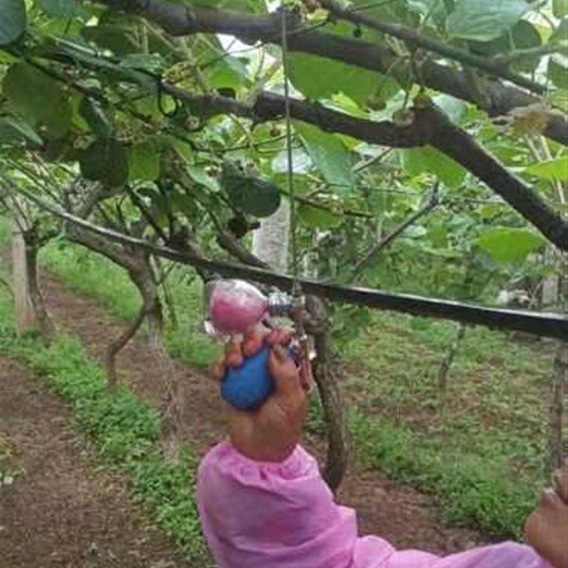 果树授粉器罗汉i果手动人工喷花器火龙猕猴桃点花神器送辅料50克,淘宝优惠券,粉丝福利购,淘宝优惠卷