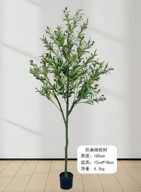 仿真橄榄树盆栽仿真绿植盆栽北欧风格创意摆件造型盆栽树