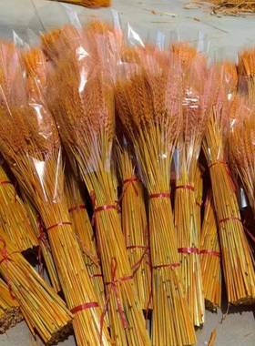 大麦麦穗干花开业大麦麦穗整箱永生麦穗