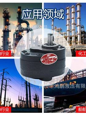 液压齿轮泵CB-B6B10B16B20B25B32CBB锯床润滑液压齿轮油泵