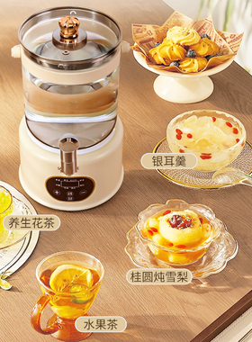 恒温大容量养生壶桶全自动煮花茶