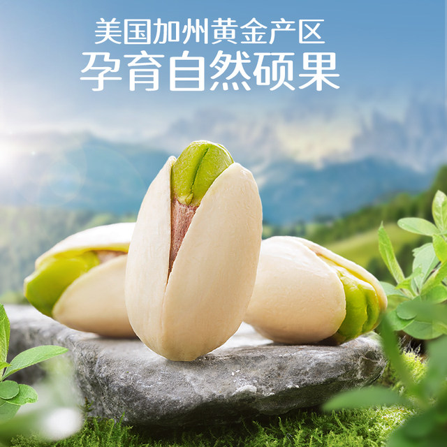 Canned Pistachio Three Squirrels 500g