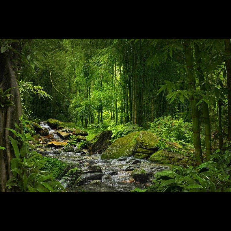 东南亚原始森林艺术壁纸客厅沙发壁布百年大树壁画电视机背景墙布,淘宝优惠券,粉丝福利购,淘宝优惠卷