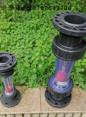 法兰式LZS80/100/125/150浮子流量计 塑料管道式液体水转子流量计