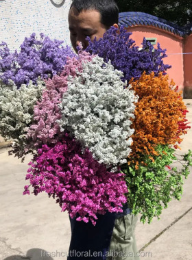 干花花束 大束情人草diy插花材料家居装饰摆设满天星鲜花干花真花