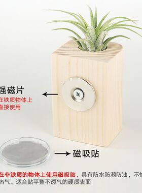 磁吸壁挂花瓶空气凤梨多肉花盆宿舍装饰绿植懒人室内挂饰创意家居