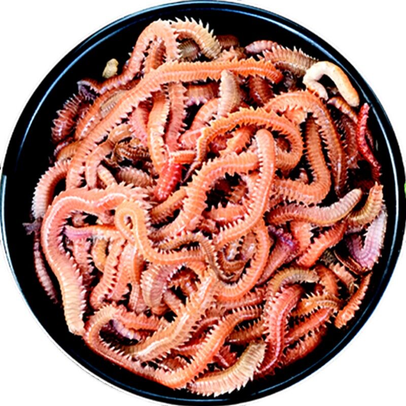 图5