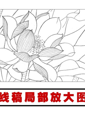 速发P82工笔国荷画白描底稿花画花鸟练习线描画稿实物打印稿