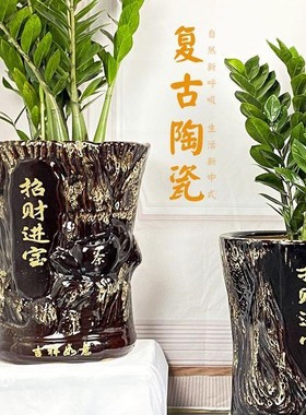 速发金钱树客厅大花盆招财进宝高款古典客钱树金厅种树仓清带托盘