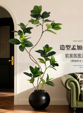 仿真绿植孟加拉榕室内高级感植物