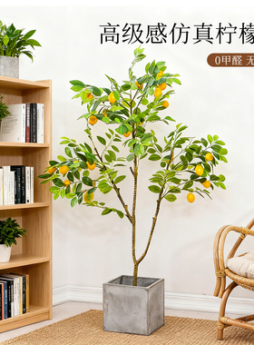 仿真柠檬树室内客厅装饰摆件盆栽大型仿生植物落地绿植高级感假树