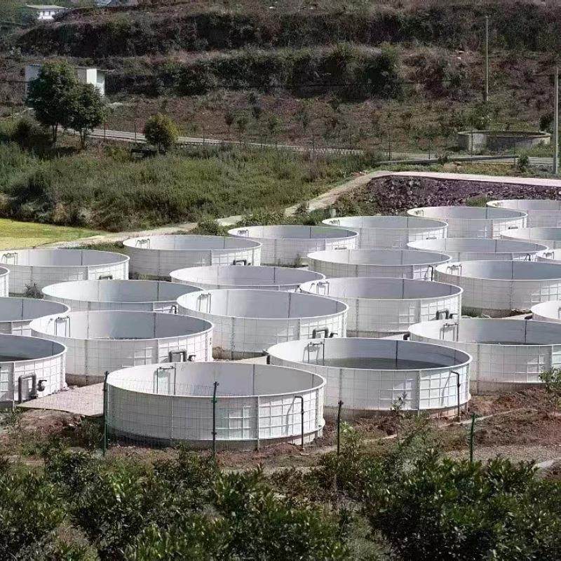 玻璃钢鱼池玻钢水槽养璃苗孵ZSH化圆形拼装鱼养殖鱼池玻璃场钢鱼,淘宝优惠券,粉丝福利购,淘宝优惠卷