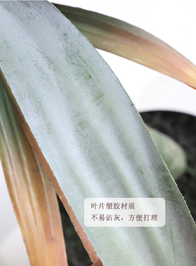 仿真绿植荷兰铁假树盆栽北美丝兰树家居客厅橱窗样板.房装饰盆景