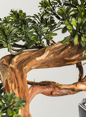 速发 四季高直迎客松摆件新中居家式软装绿厅装饰品客植办