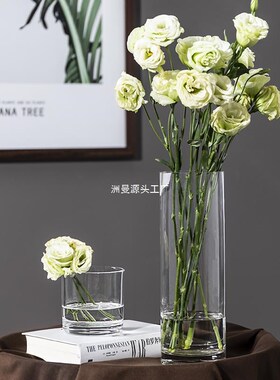 速发特大号花瓶餐约玻璃透明落地摆件简厅客桌水竹富贵竹干花插花