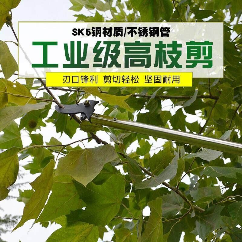 德国进口高枝剪伸缩高空剪树枝专用剪刀果树加长伸缩杆修枝不锈钢,淘宝优惠券,粉丝福利购,淘宝优惠卷