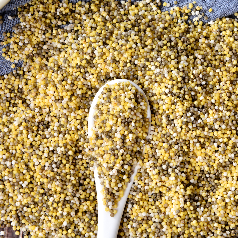 New four-color millet yellow millet white millet black millet green millet mixed grains millet porridge and rice bottled