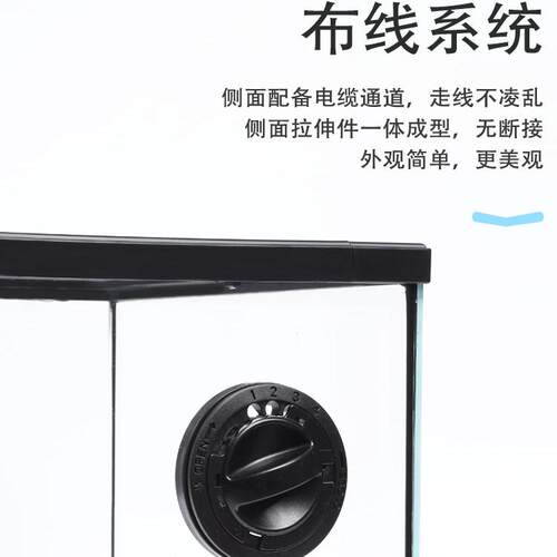 BG角蛙专用饲养箱生态雨林造景霸王黄金南美钟角蛙玻璃爬宠饲养缸 - 图2