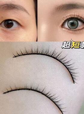 自然短款R-3硬梗假睫毛一整条日常通勤可撑双眼皮cos打底睫毛XOYO