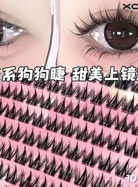 犬系大容量无辜狗狗懒人三部曲漫画眼睫毛假睫毛浓密自然新手纯野