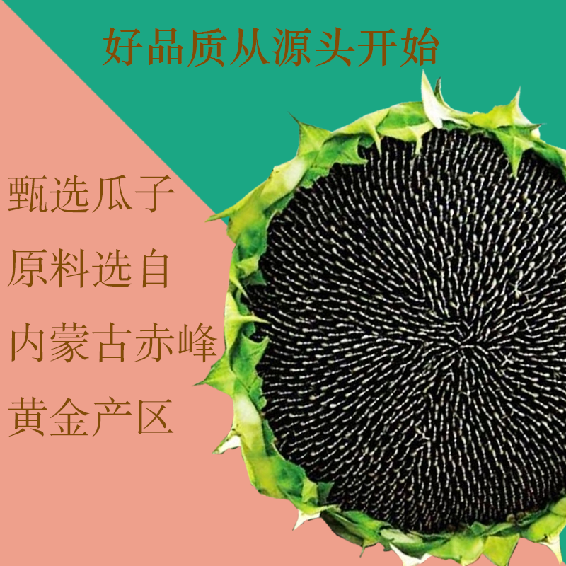 张老吉原味焦糖十六香葵花瓜子407g/袋 2024新货散装零食批发包装
