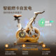 Philips Little Golden Deer Spinning Bike Indoor Exercise Bike