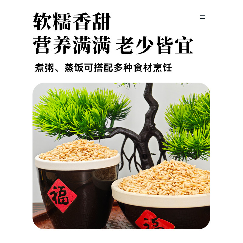 真空包装东北燕麦米2025新米裸燕麦胚芽米脱皮燕麦粒杂粮粗全胚芽,淘宝优惠券,粉丝福利购,淘宝优惠卷