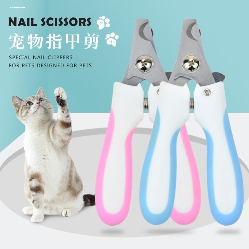 宠物兔子专用指甲剪指甲刀指甲钳幼兔小猫咪小型犬防抓挠神器用品,淘宝优惠券,粉丝福利购,淘宝优惠卷