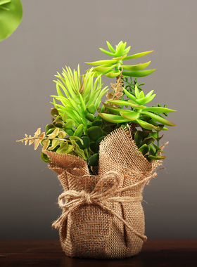 速发美式花村多肉乡草盆栽桌面小摆件创意客厅装柜盆景酒饰品摆设