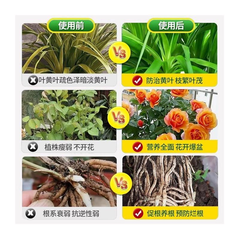 植物再生剂浓缩营养液发财树水培花肥室内盆栽植物营养液通用型 - 图3