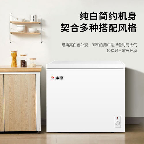 志高小冰柜一级能效小型家用全冷冻冷藏两用节能迷你卧式微霜冷柜 - 图1