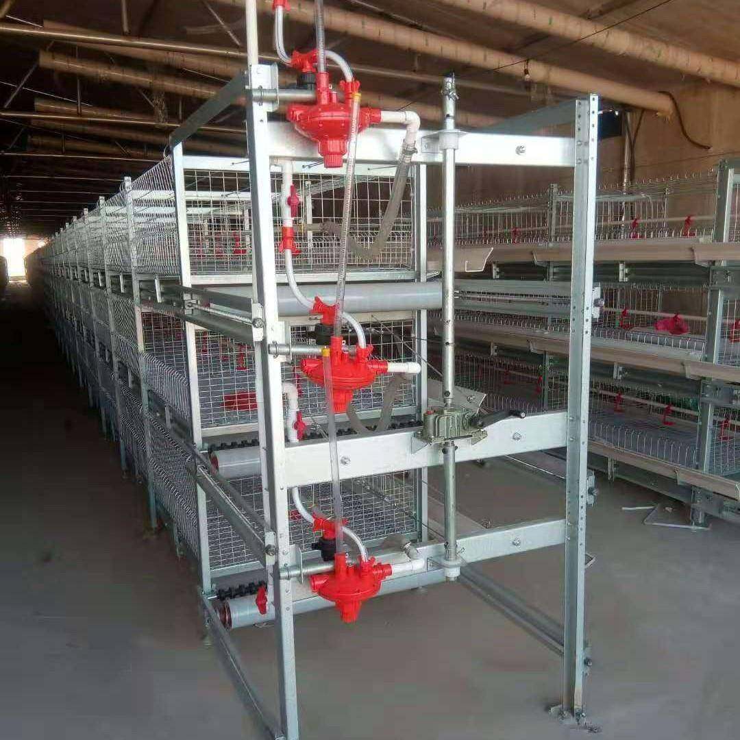 全自动肉鸡笼框架笼鸡舍养鸡场镀锌工艺自动除粪鸡笼可供外贸,淘宝优惠券,粉丝福利购,淘宝优惠卷