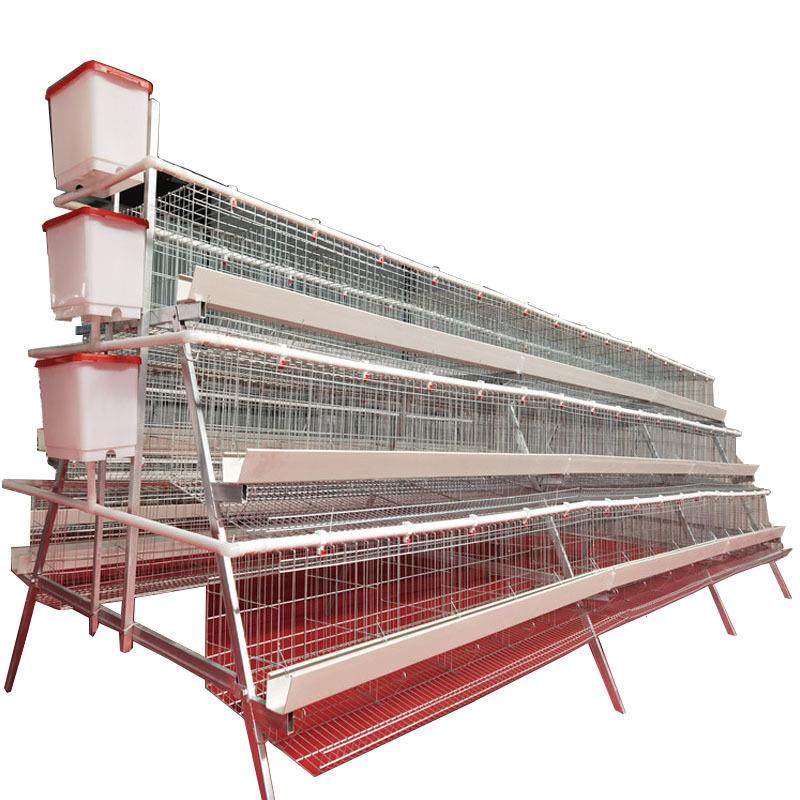 3层5门阶梯蛋鸡笼养殖厂工厂阶梯型A型鸡笼热镀锌可供外贸,淘宝优惠券,粉丝福利购,淘宝优惠卷