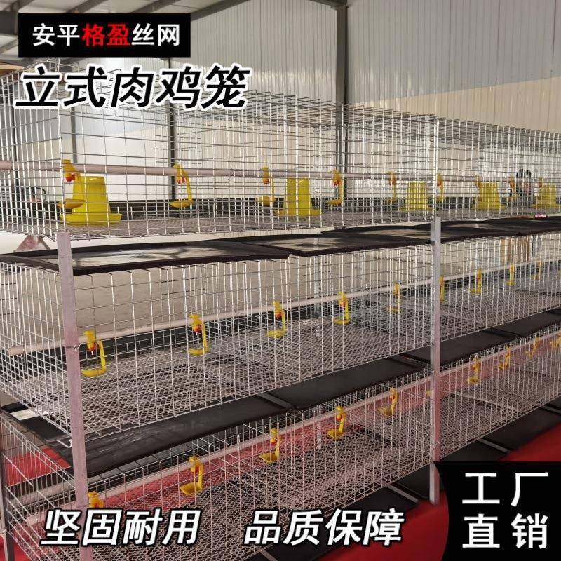 源头厂家供应全自动肉鸡笼镀锌肉鸡笼养殖设备自动清粪,淘宝优惠券,粉丝福利购,淘宝优惠卷