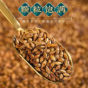 山水西湖大麦茶原味烘焙型饭店专用[16元优惠券]-寻折猪