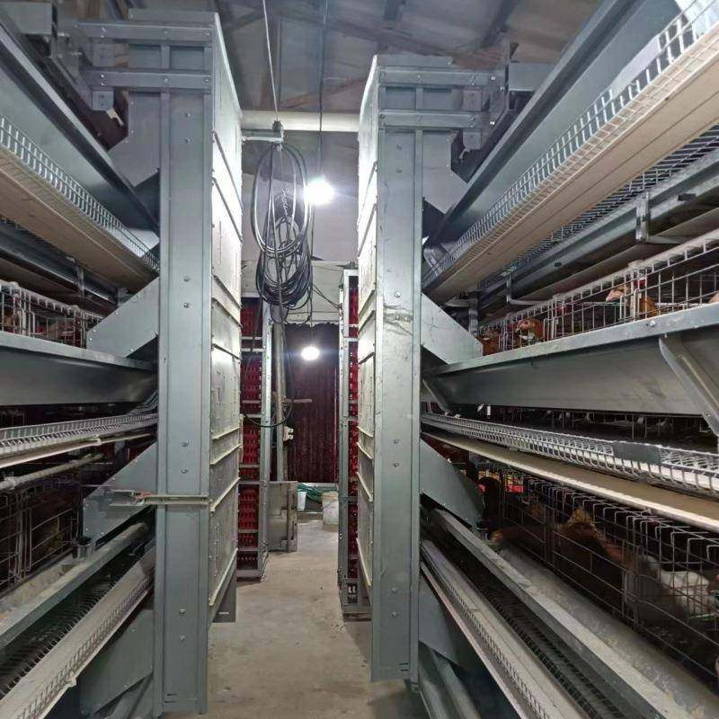 大层叠蛋鸡笼全自动化养殖设备厂家镀锌层叠式蛋鸡笼,淘宝优惠券,粉丝福利购,淘宝优惠卷