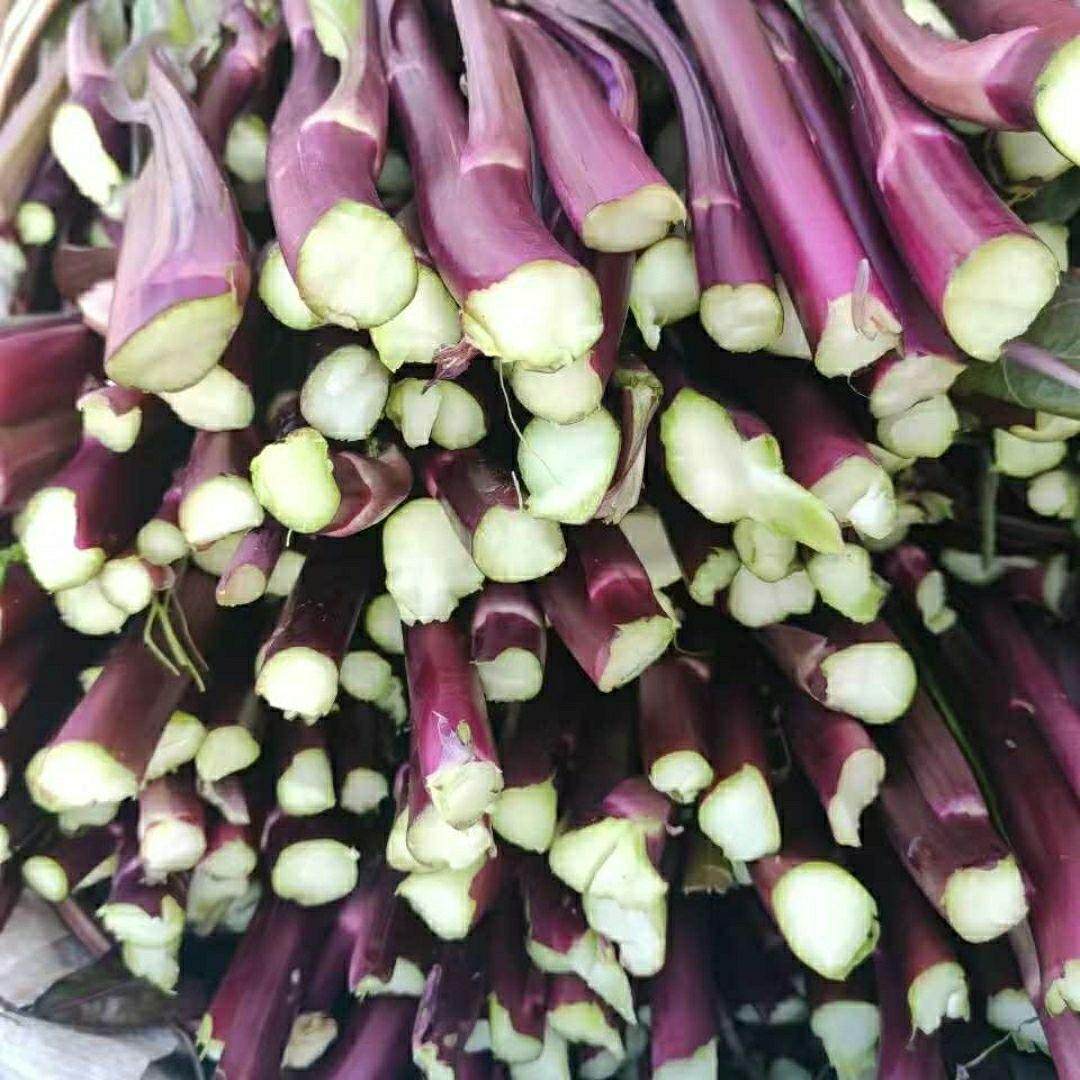 湖北新鲜红菜苔脆嫩可口菜心当季时令蔬菜露天种植纯天然洪山菜苔,淘宝优惠券,粉丝福利购,淘宝优惠卷