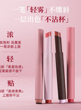 【下单立减30】粉雾口红笔春夏固体唇蜜哑光时髦不易沾杯不脱色C