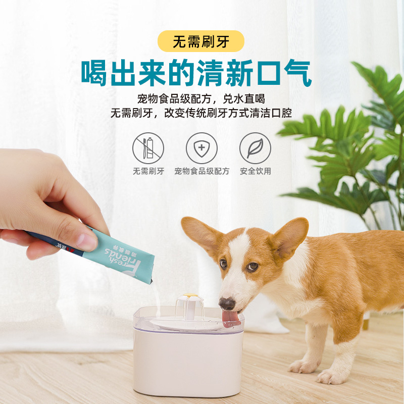 【官】派锐宠物洁齿水猫咪口腔清洁狗狗猫咪漱口水除口气牙齿清洁