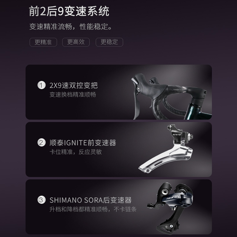 xds喜德盛2024款AD300公路自行车成人油刹桶轴铝合金车架单车 - 图2